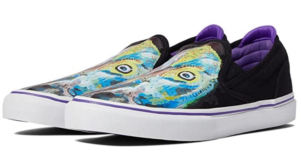 Emerica x Dinosaur Jr Mens Wino Slip-On Shoes Size 8 Black Multicolor Sweep NIB